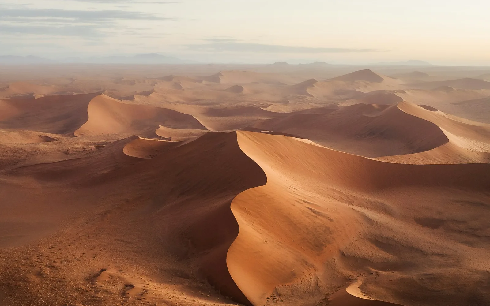 Sand dunes in Namibia's Namib Desert